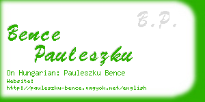 bence pauleszku business card